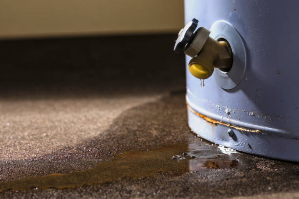 Best Emergency water damage restoration  in Princeton, NJ