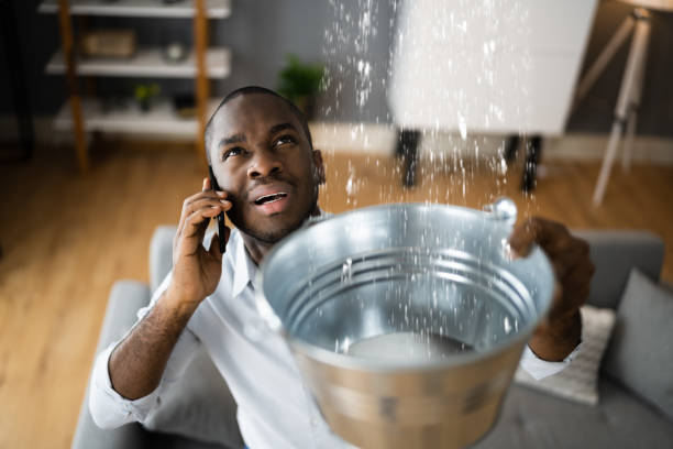 Best Fire Damage Restoration  in Princeton, NJ