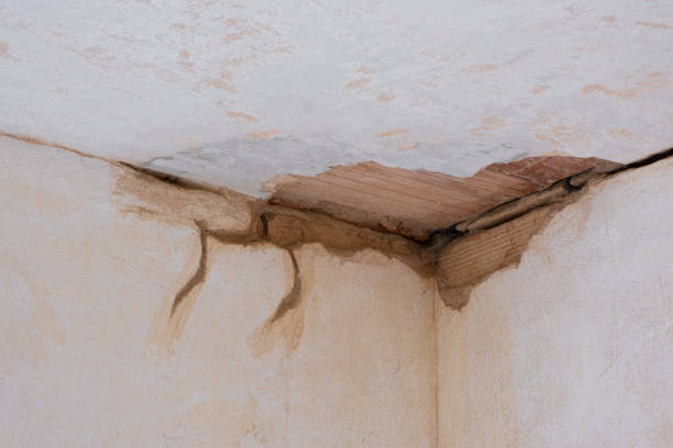 Best Water damage restoration near me  in Princeton, NJ