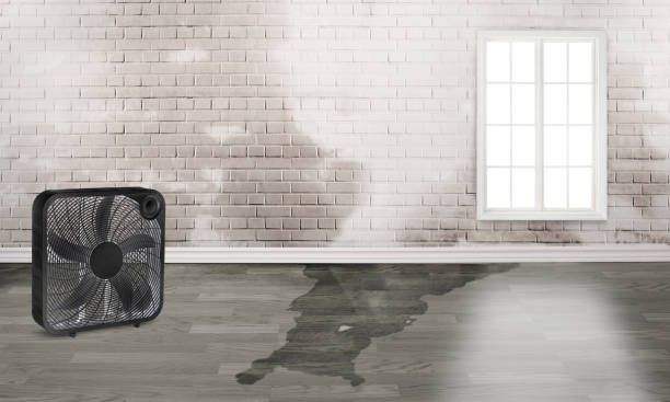 Best Water damage restoration near me  in Princeton, NJ